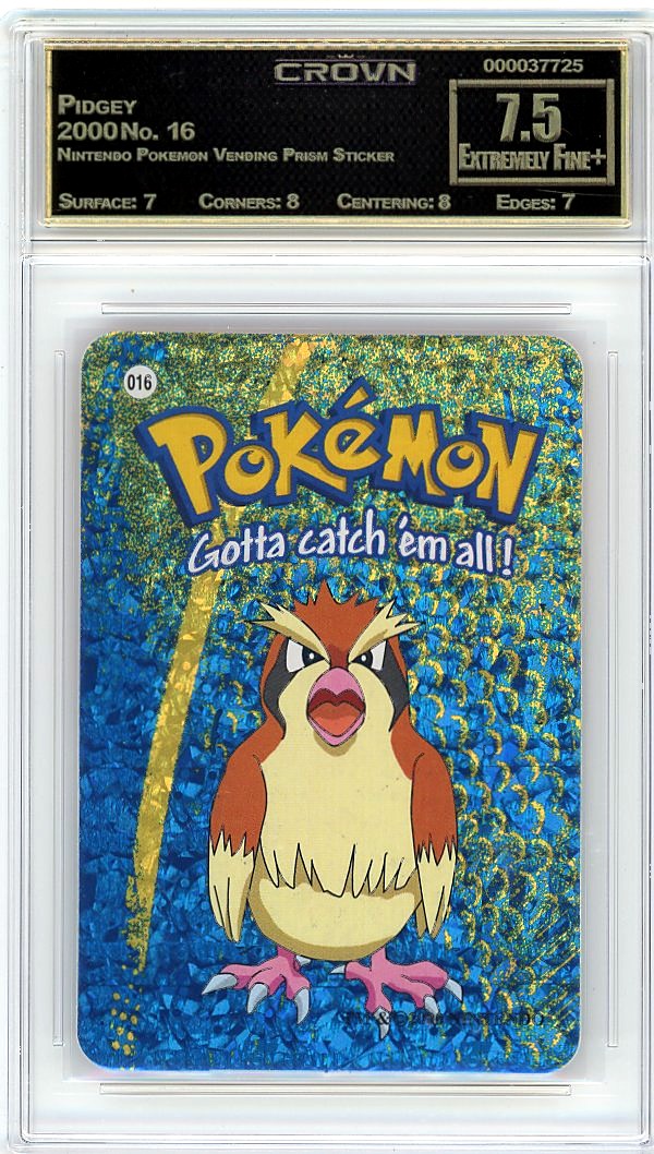 Pidgey