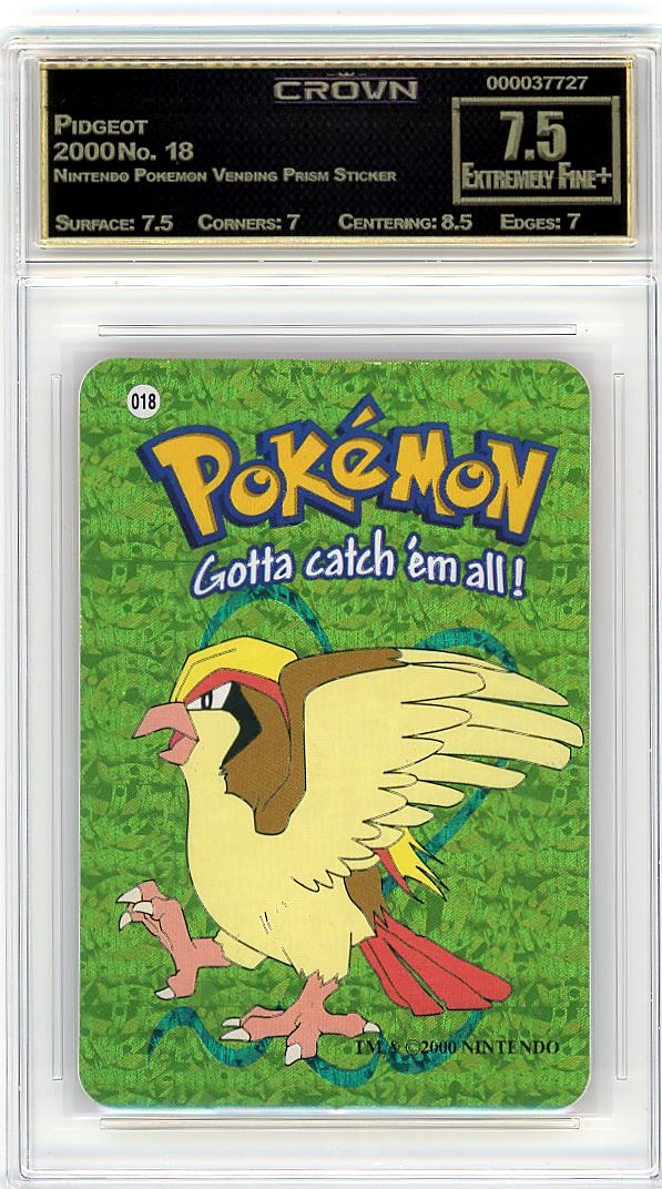 Pidgeot
