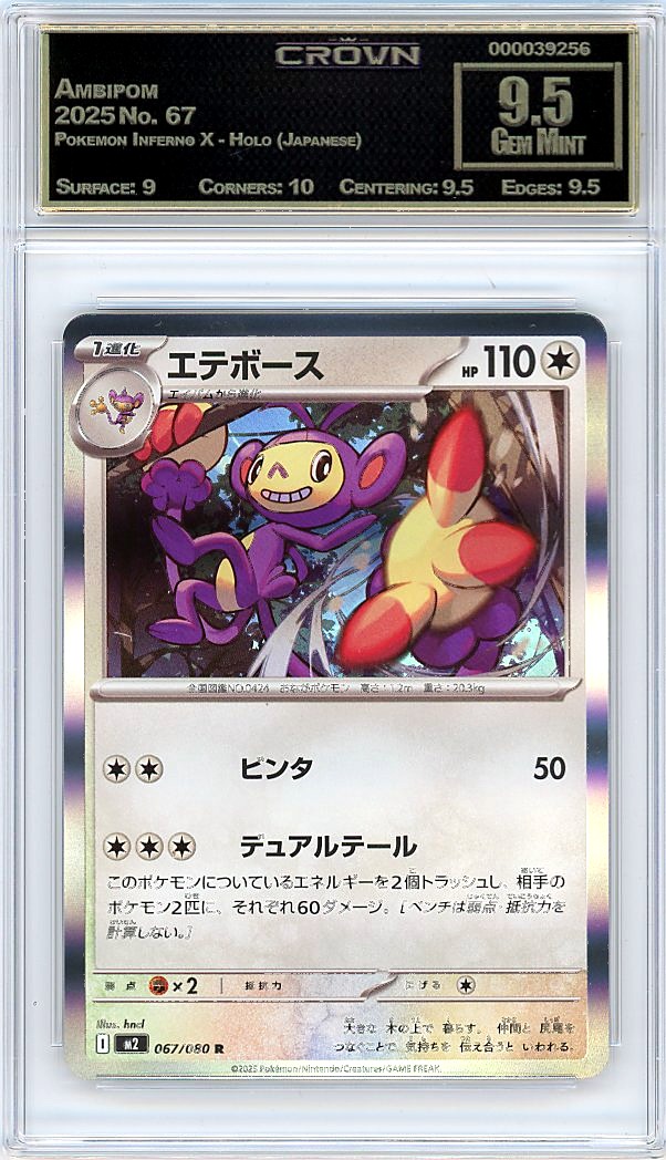 Ambipom