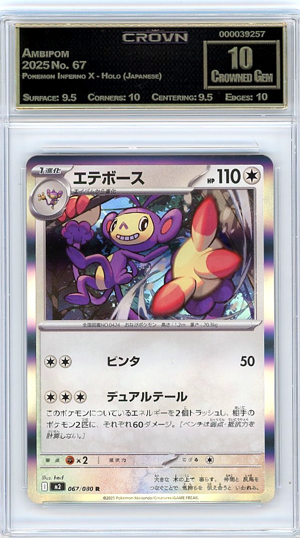 Ambipom