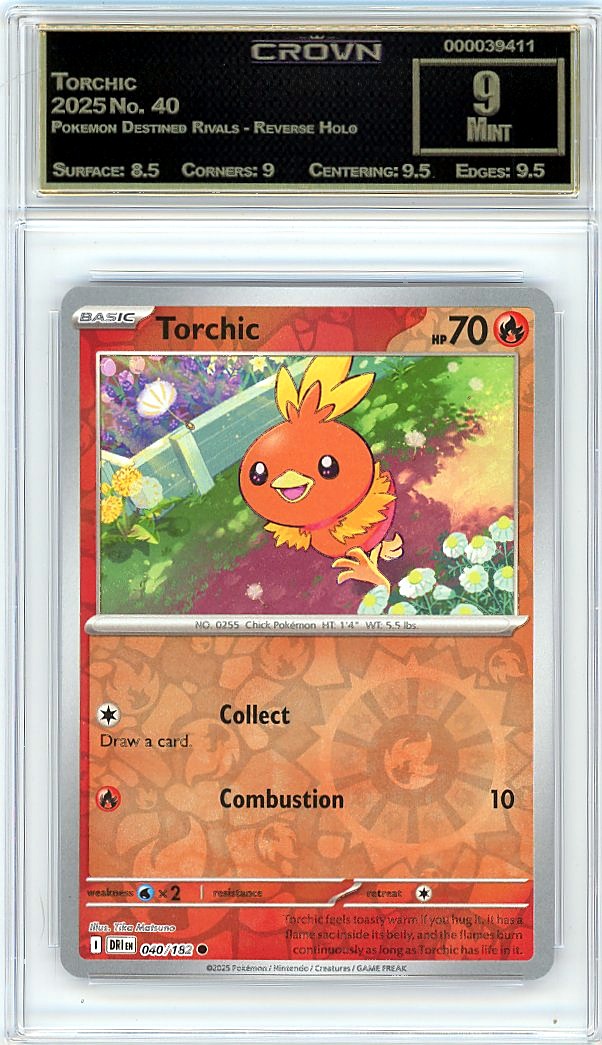 Torchic