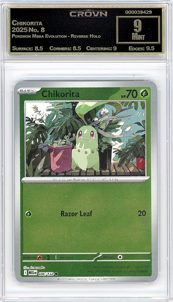 Chikorita