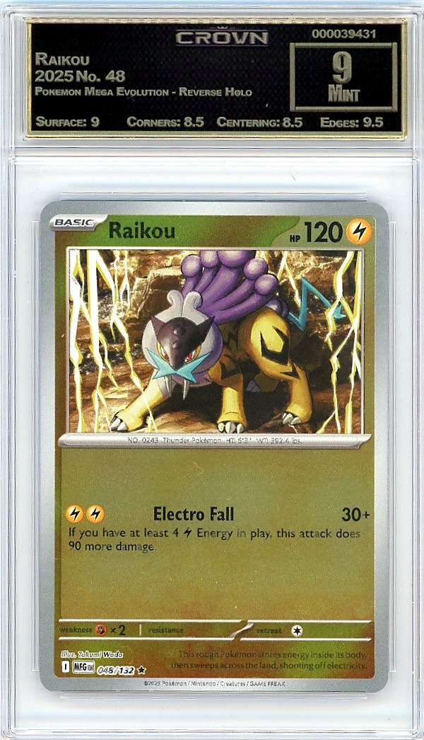 Raikou