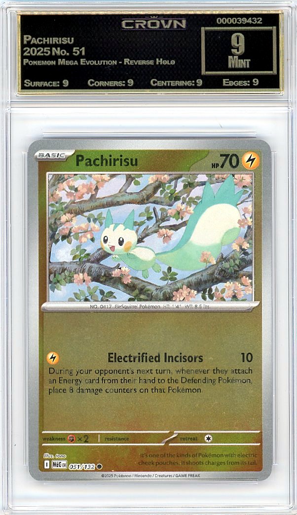 Pachirisu