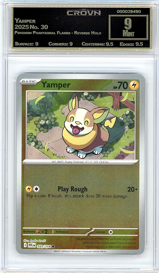 Yamper