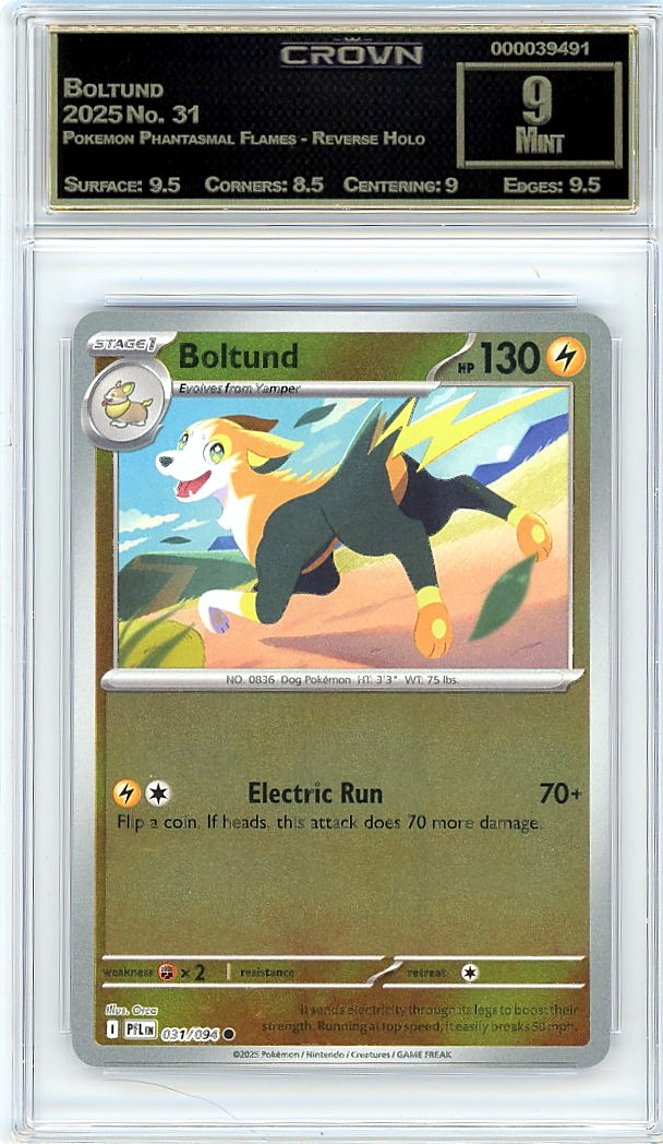 Boltund