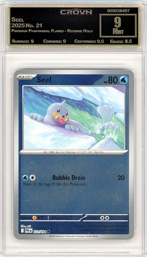 Seel