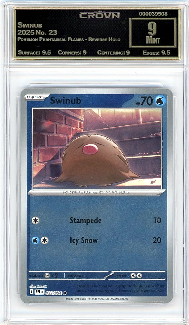 Swinub