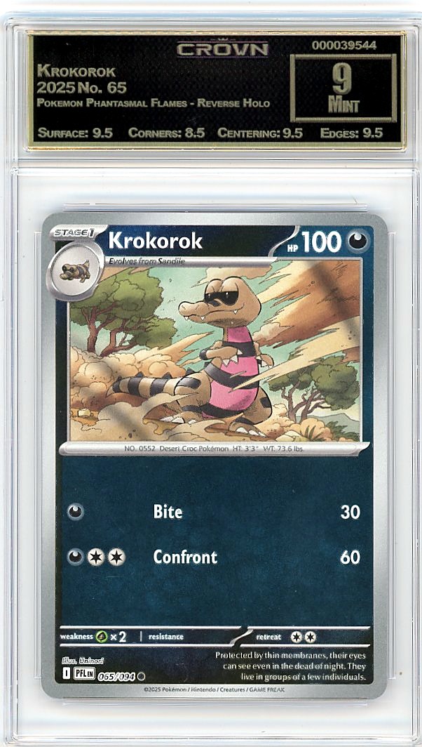 Krokorok
