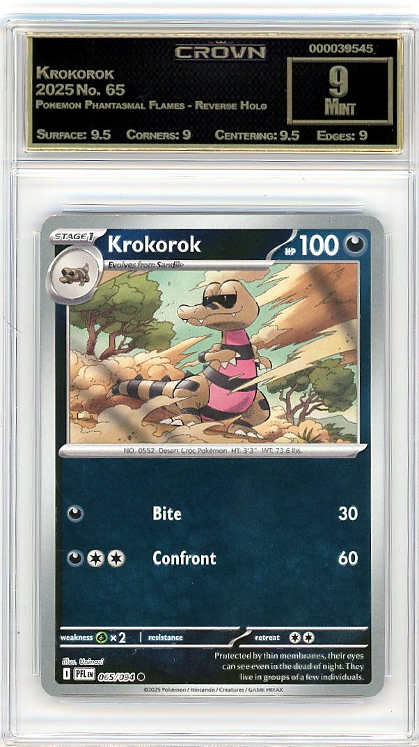 Krokorok