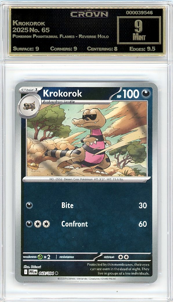 Krokorok