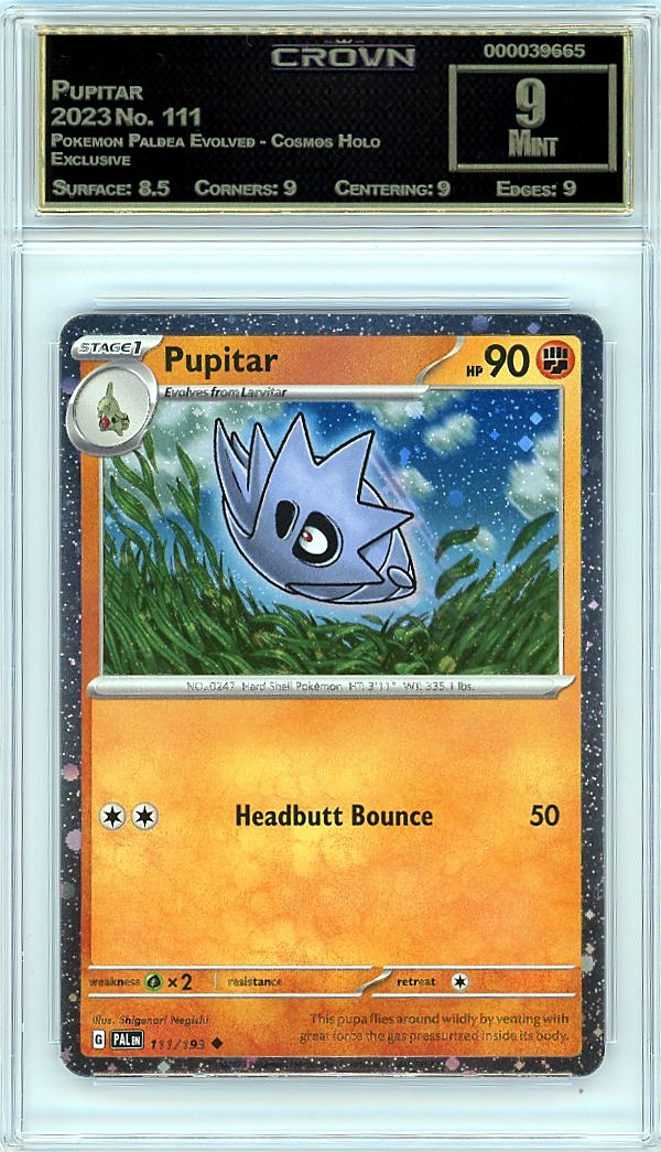 Pupitar