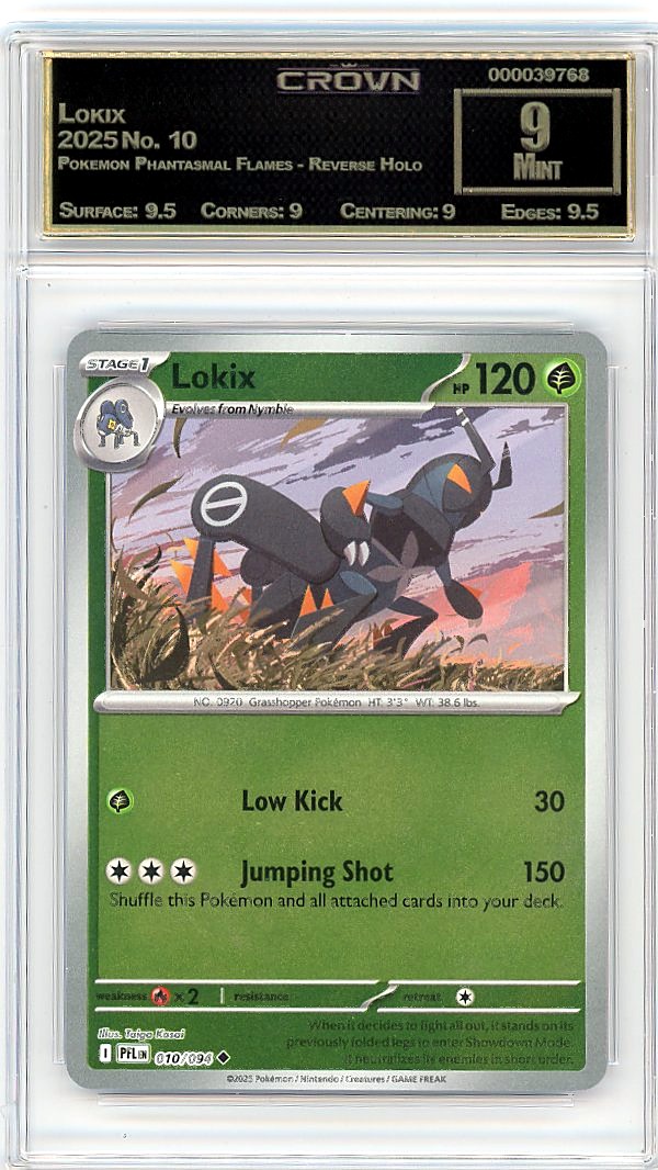 Lokix