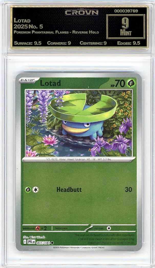 Lotad