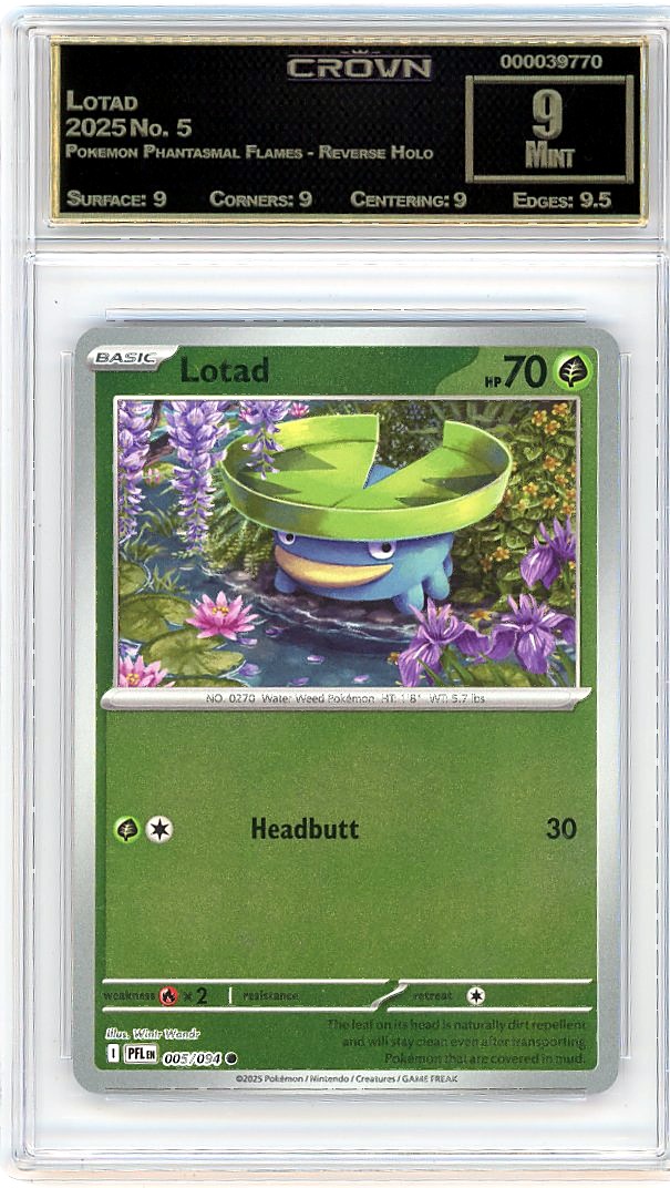 Lotad