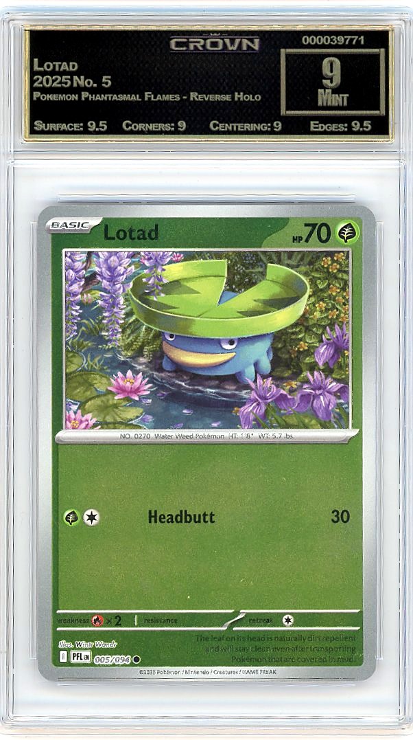 Lotad