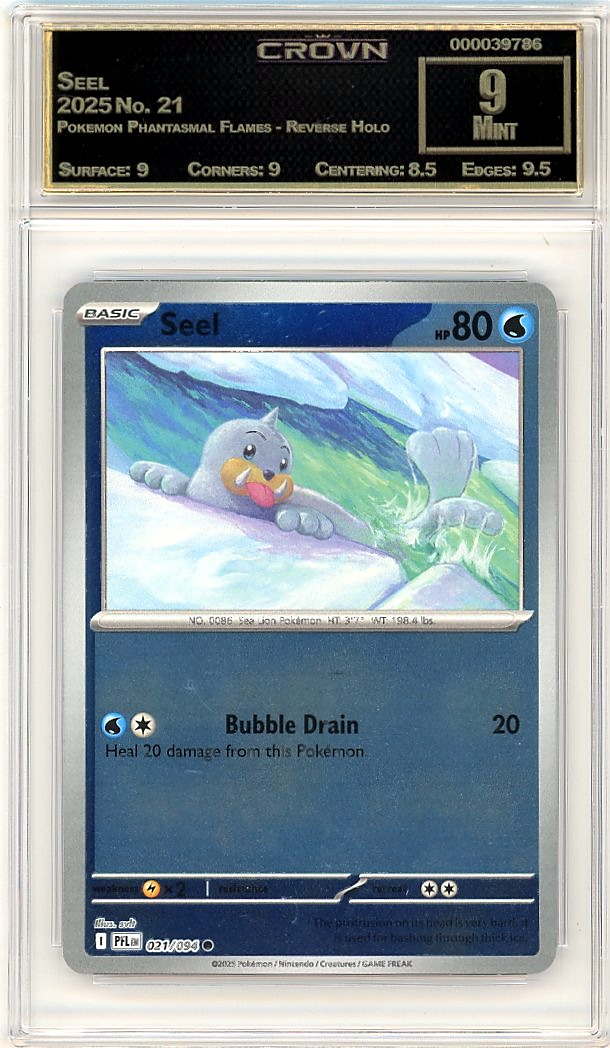 Seel