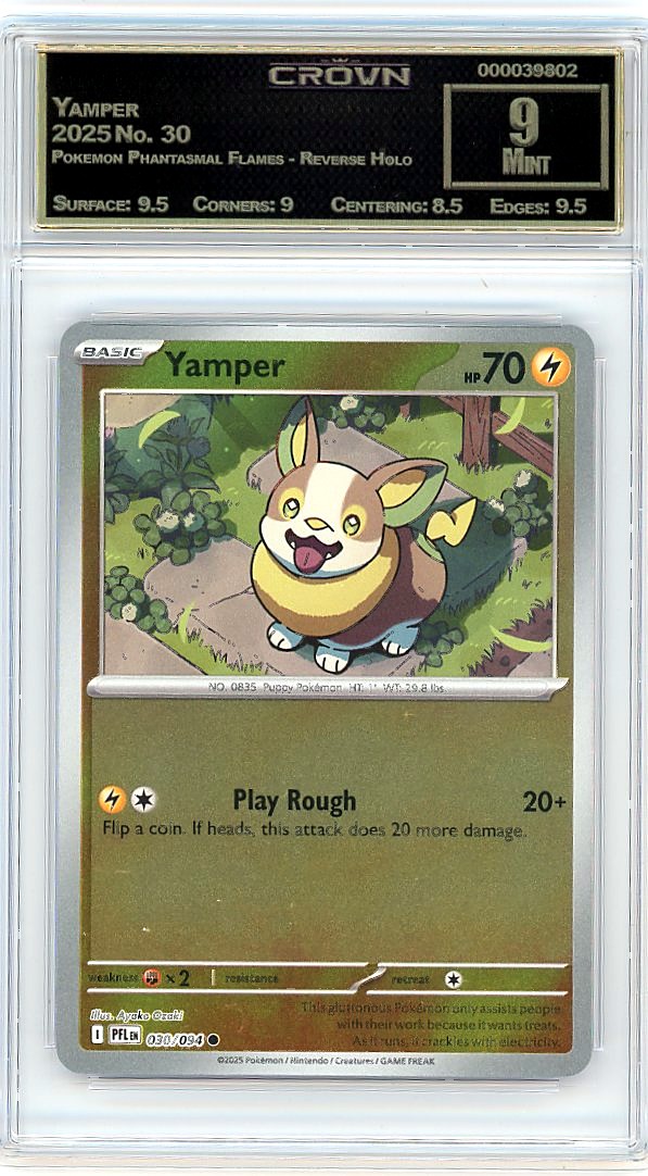 Yamper
