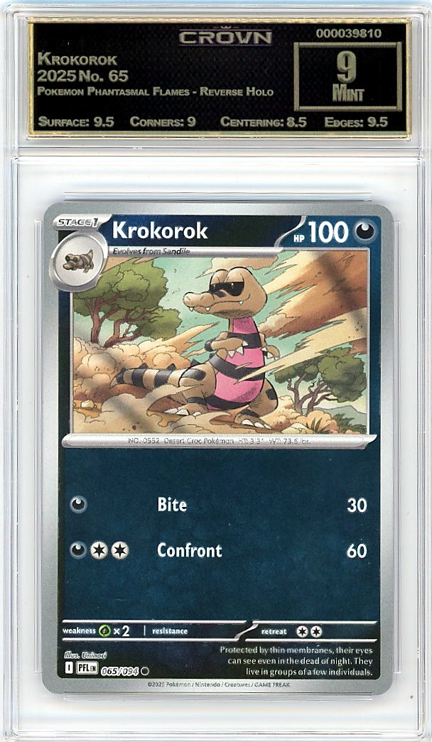 Krokorok