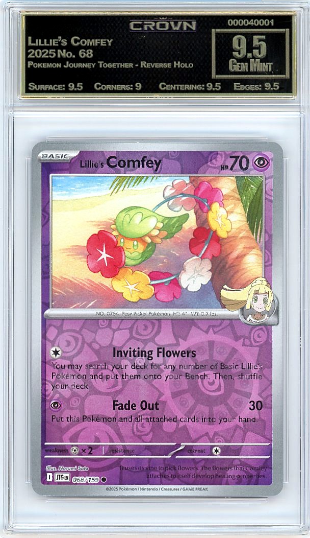 Lillie's Comfey