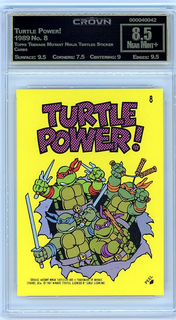 Turtle Power!