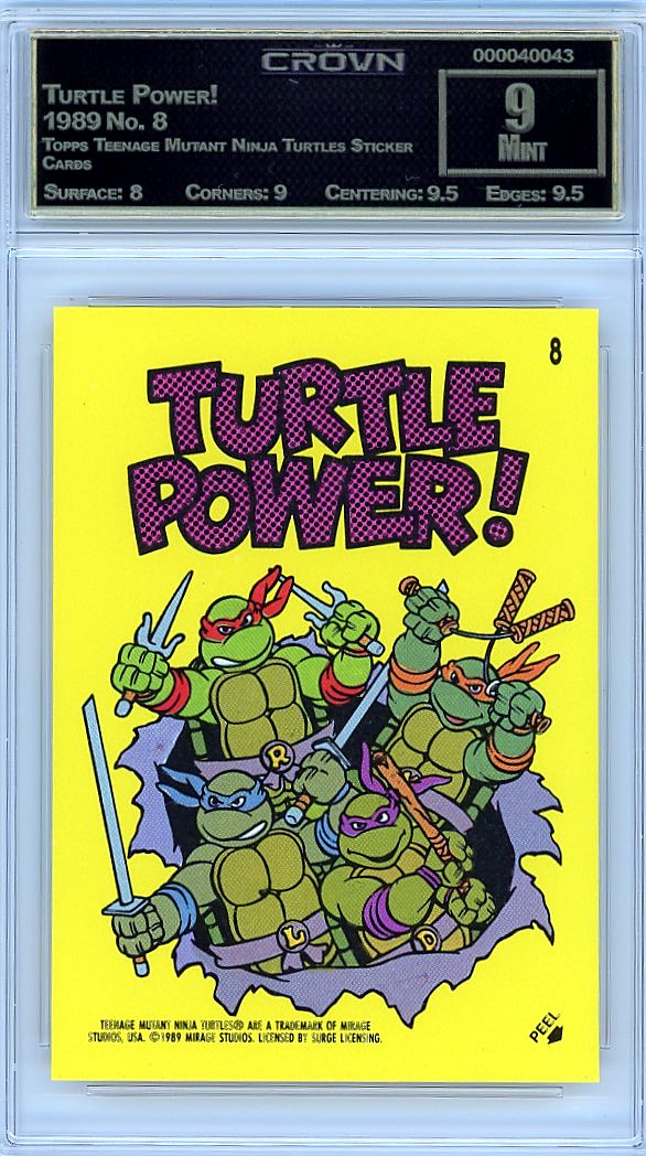 Turtle Power!