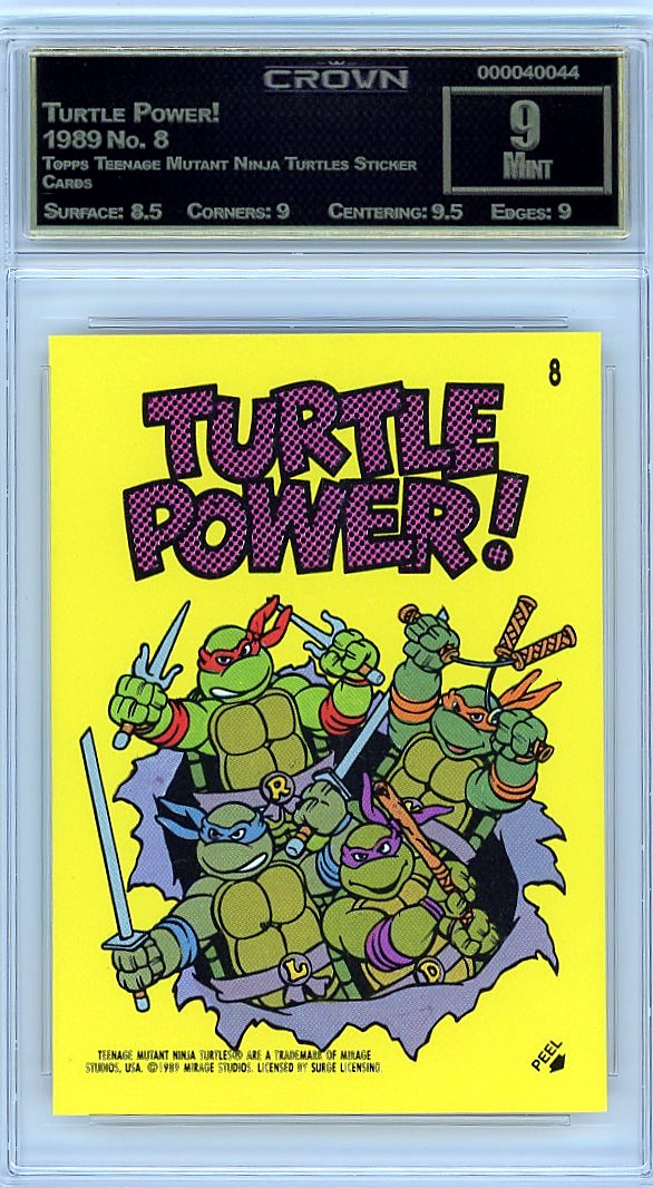 Turtle Power!