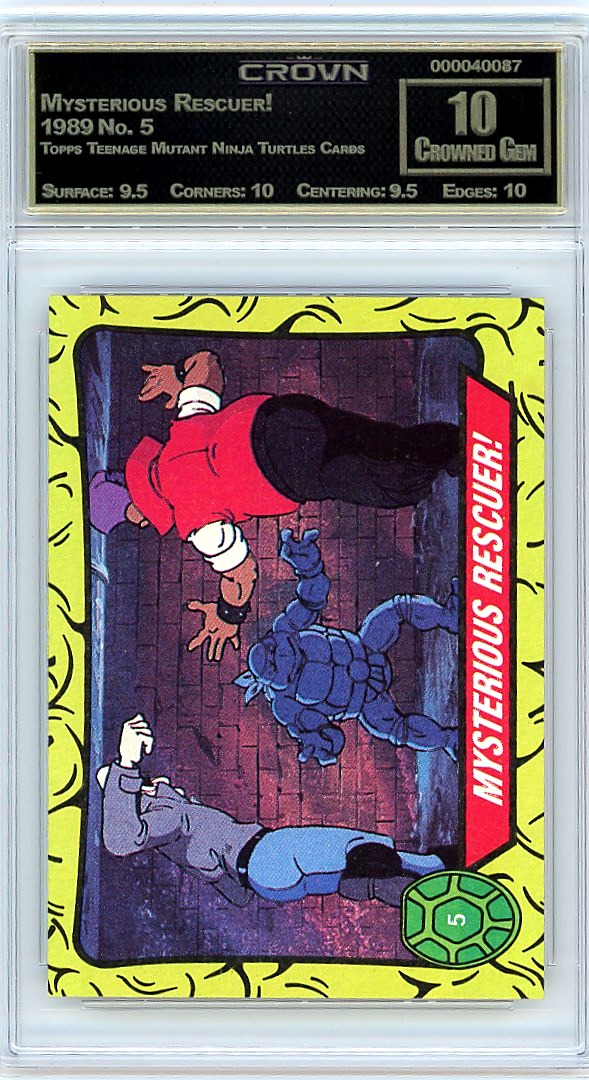 Mysterious Rescuer!
