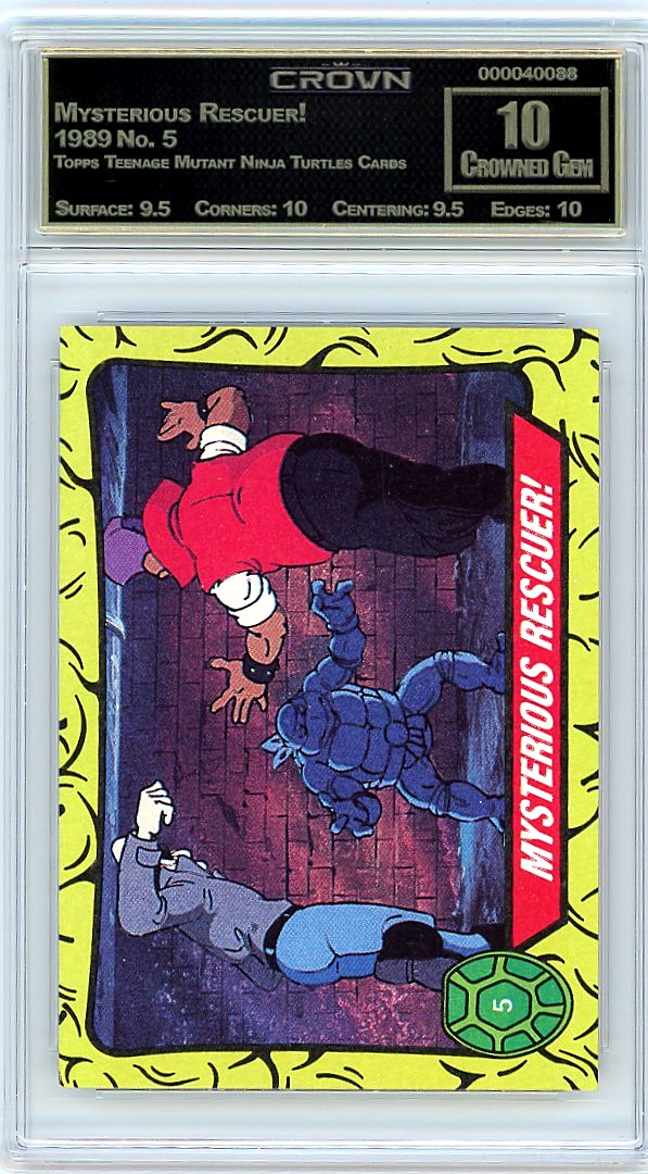 Mysterious Rescuer!