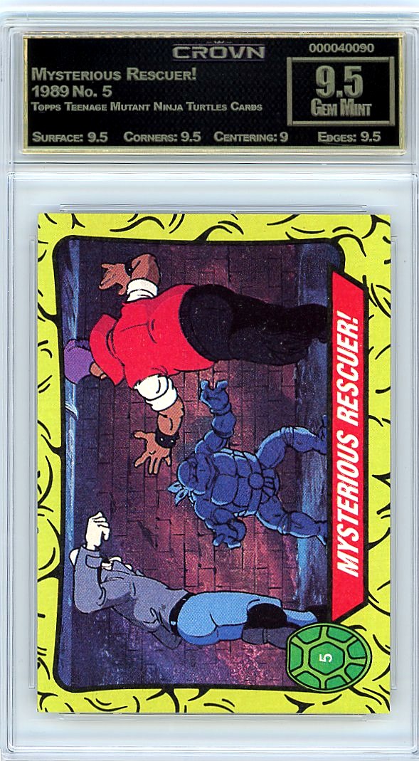 Mysterious Rescuer!