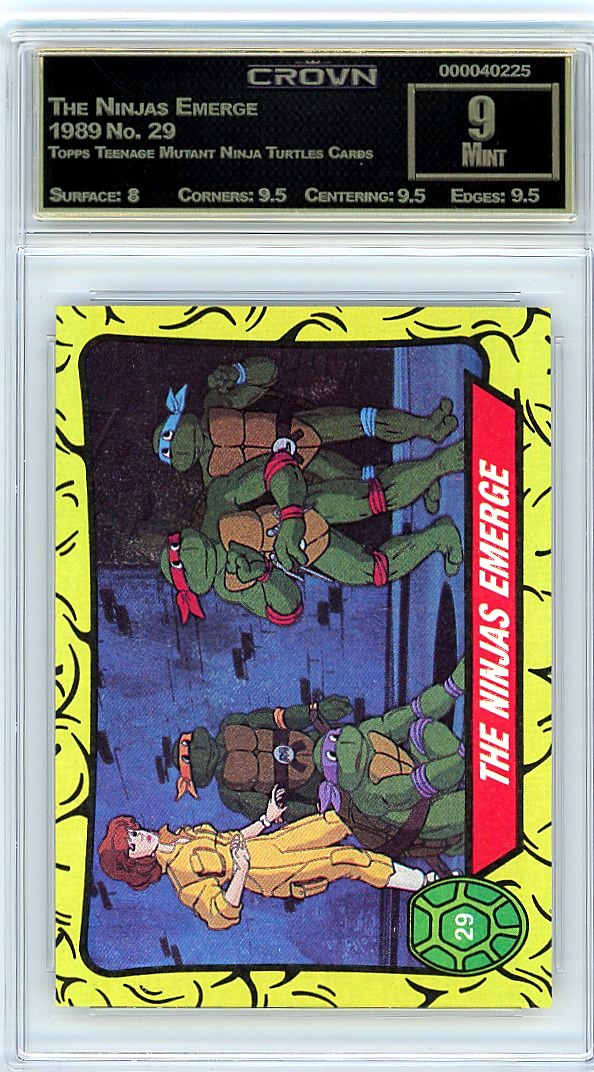The Ninjas Emerge