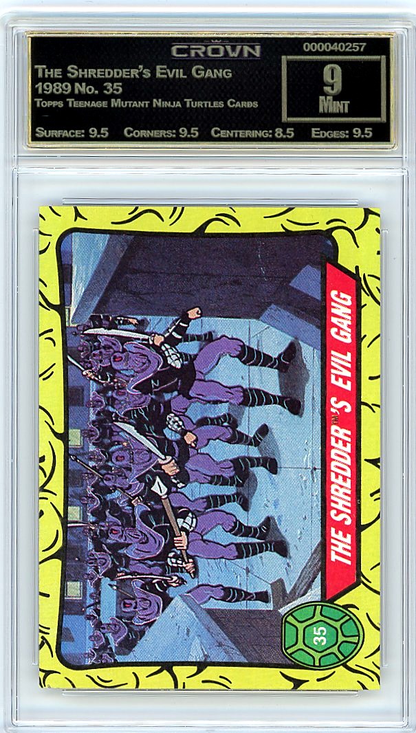 The Shredder's Evil Gang