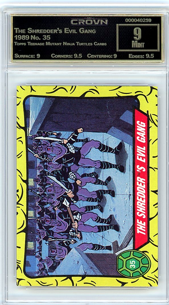 The Shredder's Evil Gang