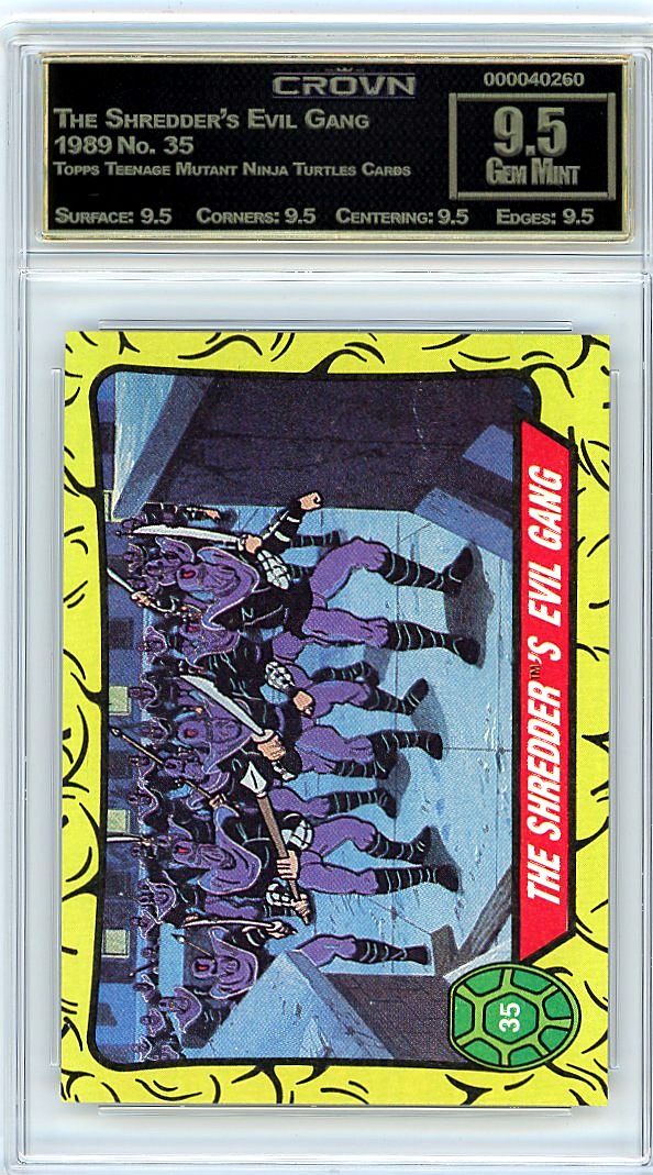 The Shredder's Evil Gang