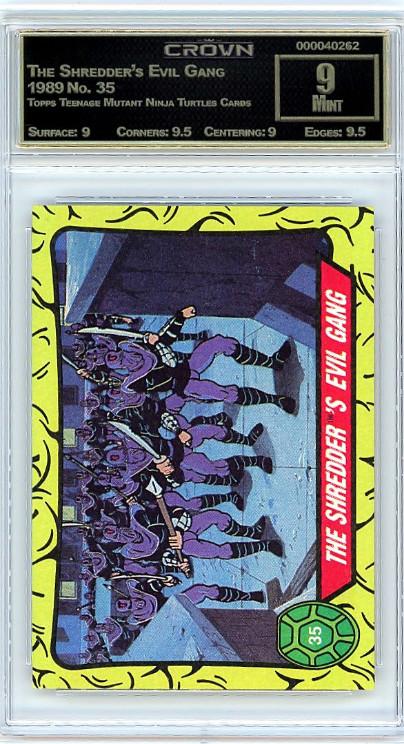 The Shredder's Evil Gang