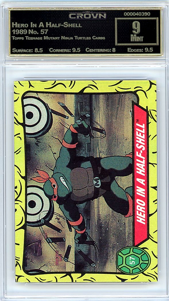 Hero In A Half-Shell