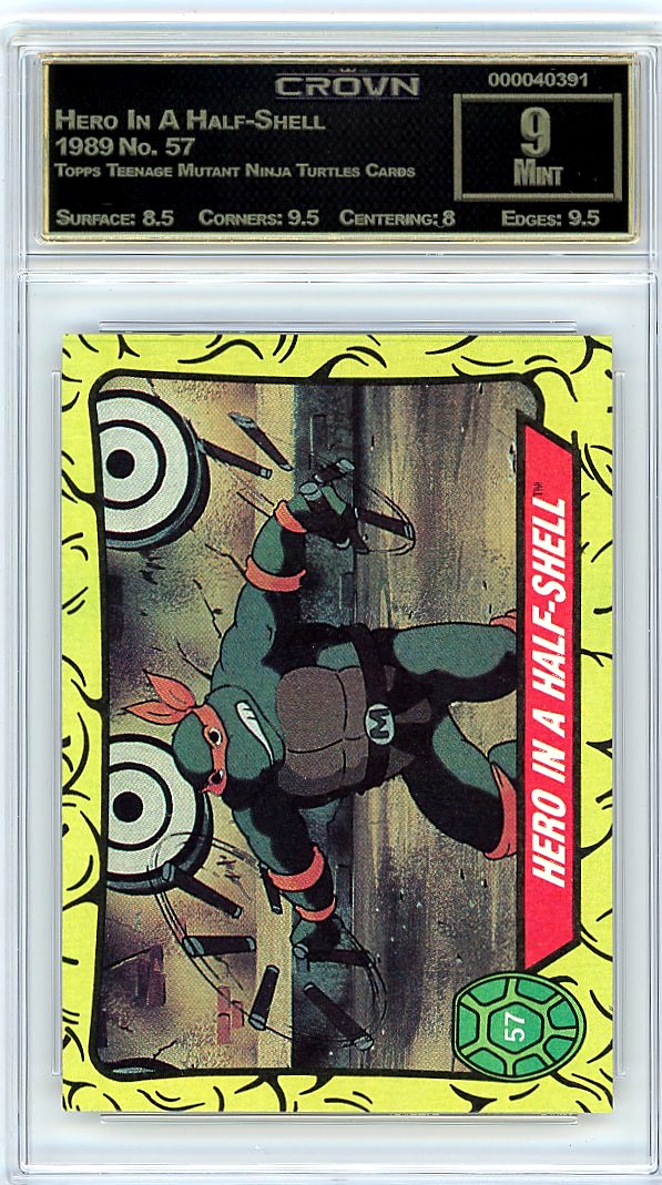 Hero In A Half-Shell