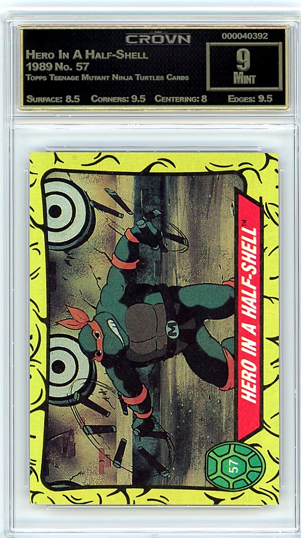Hero In A Half-Shell