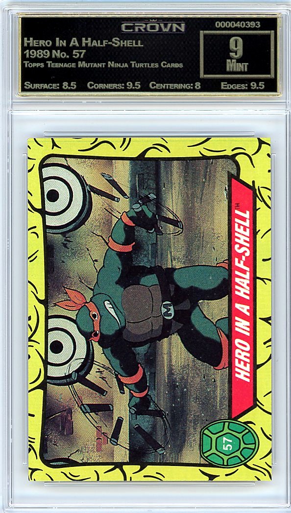 Hero In A Half-Shell