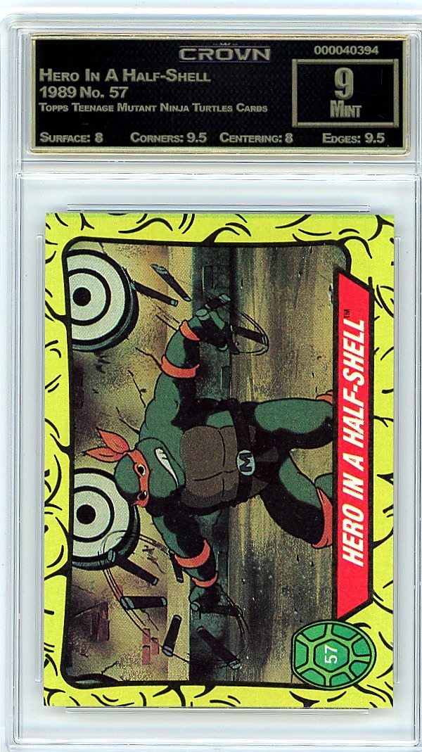 Hero In A Half-Shell