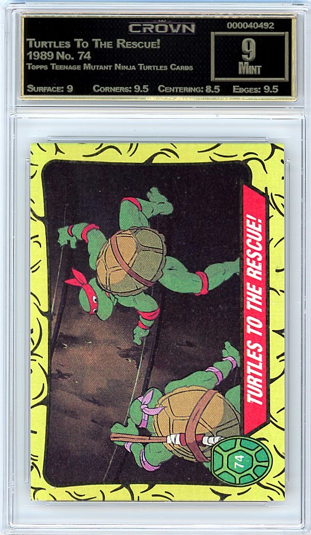 Turtles To The Rescue!