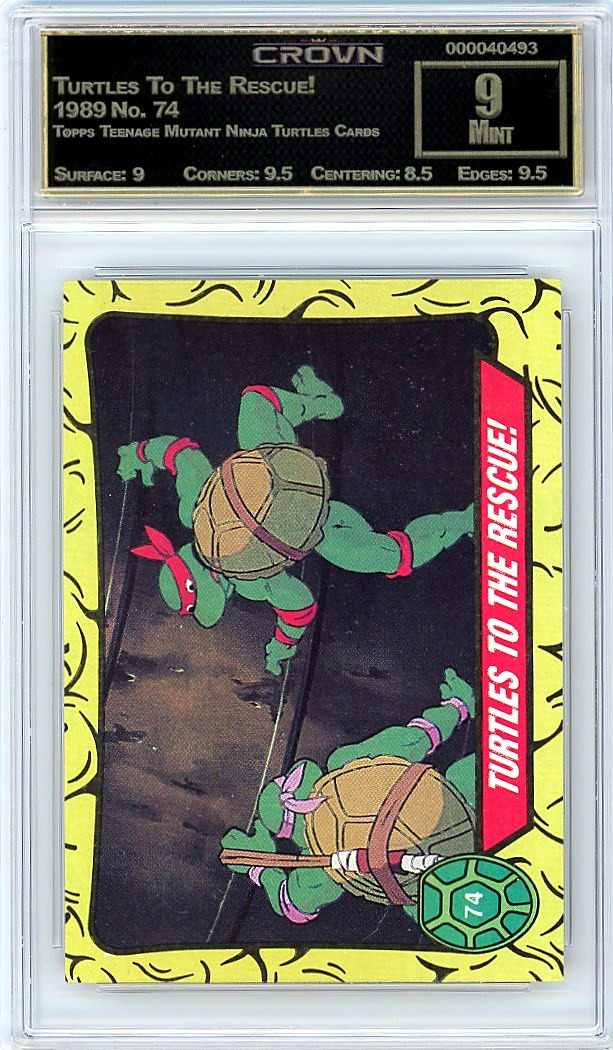 Turtles To The Rescue!