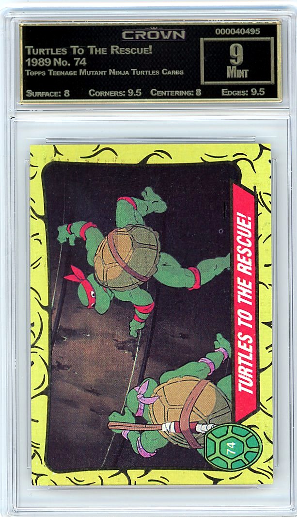 Turtles To The Rescue!