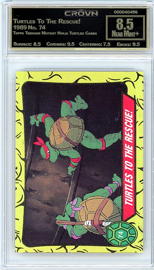 Turtles To The Rescue!