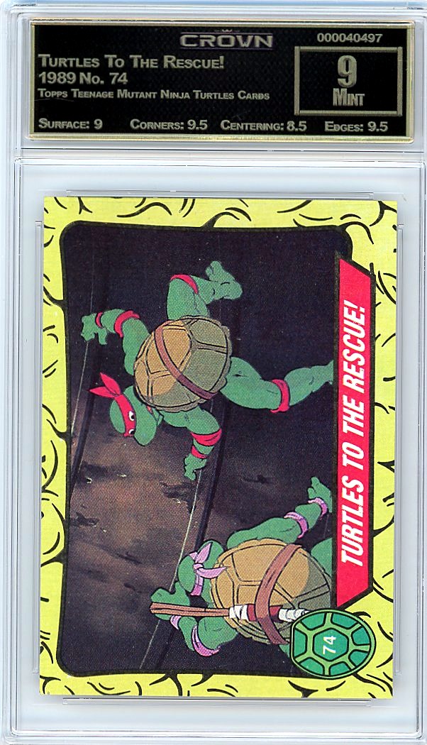 Turtles To The Rescue!