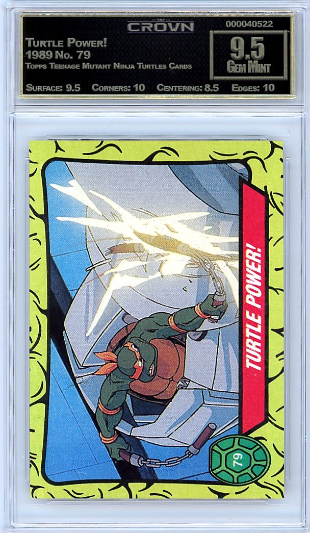 Turtle Power!