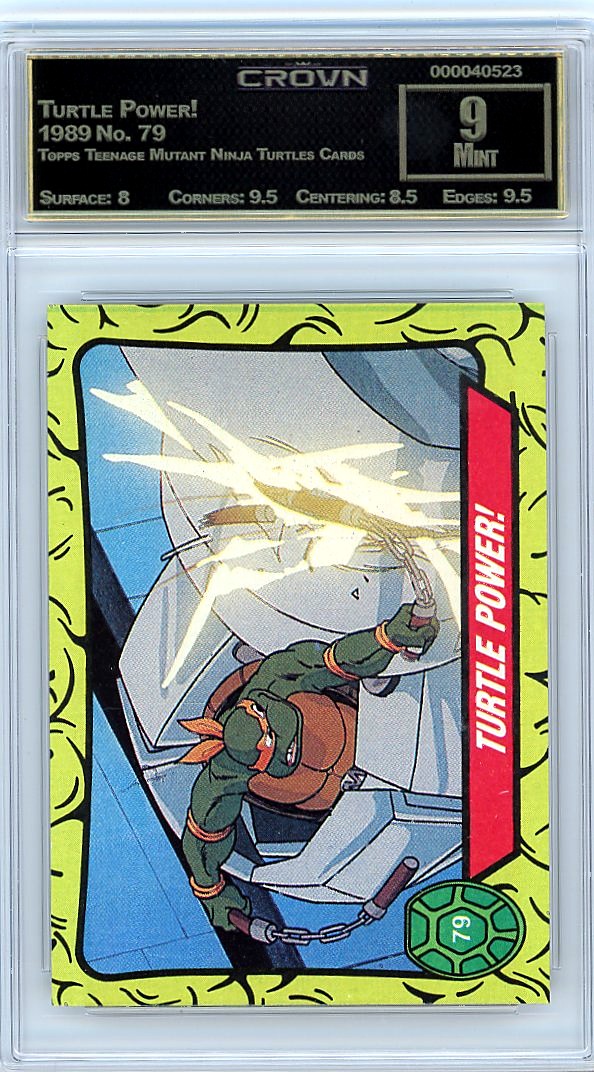 Turtle Power!
