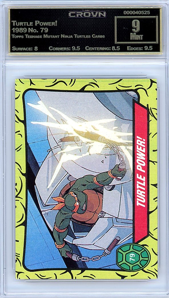 Turtle Power!