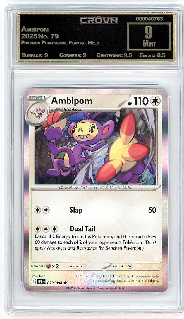 Ambipom