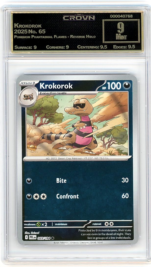 Krokorok